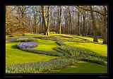 Keukenhof Hollandia 116